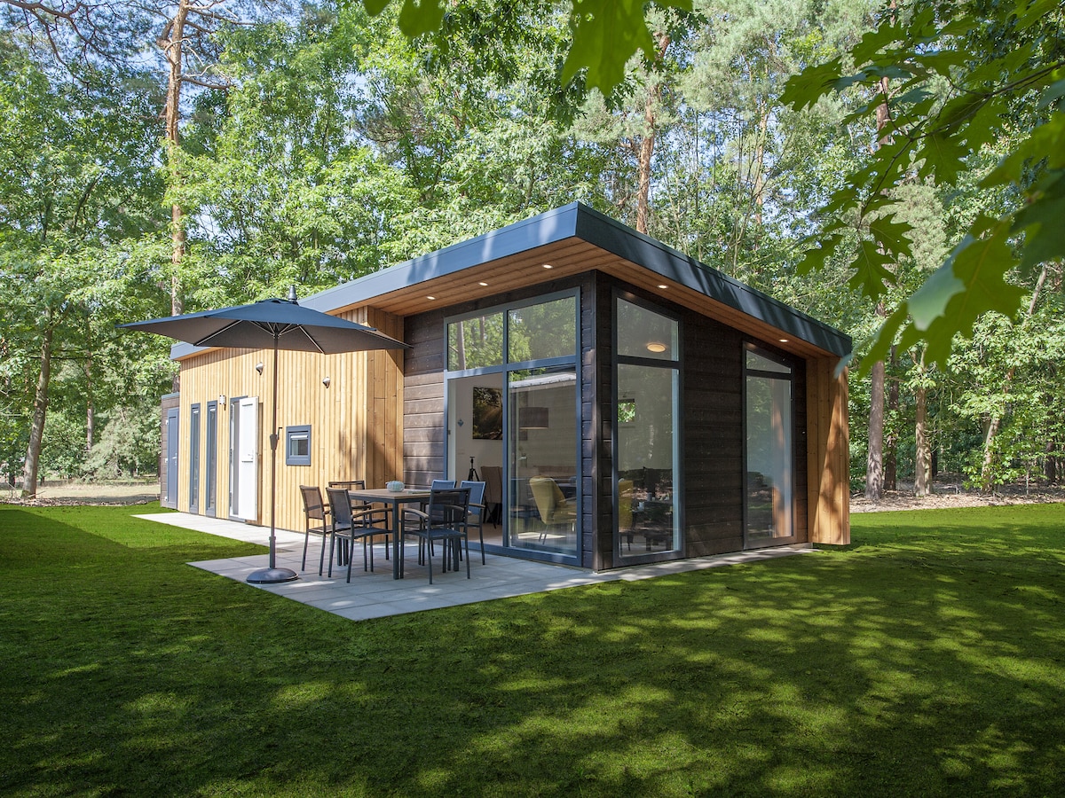 Modern chalet voor 6 personen in Mierlo op Bospark 't Wolfsven in Mierlo