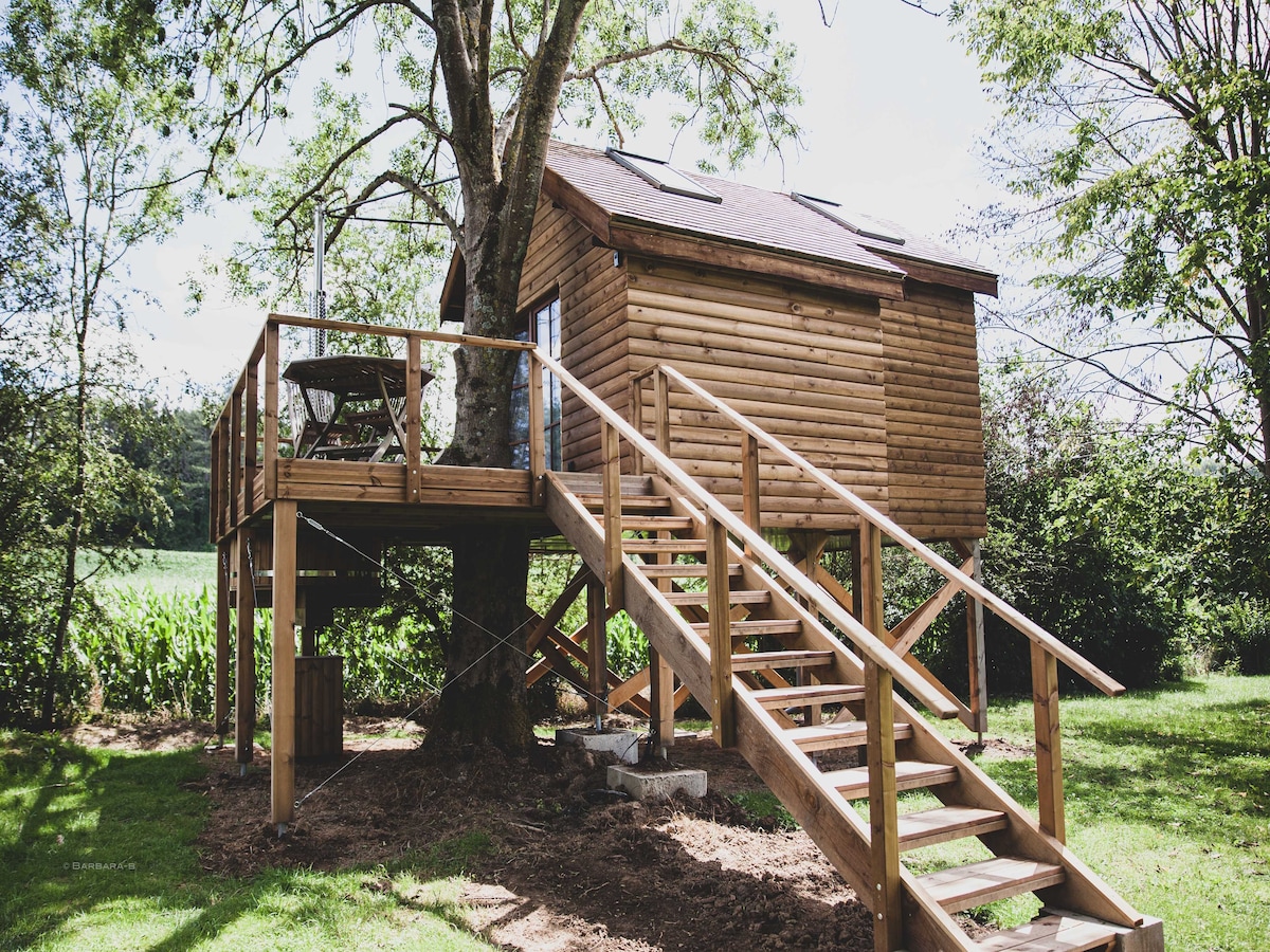 Wellness chalet Bird Nest in Barvaux-sur-Ourthe voor 2 personen in Barvaux