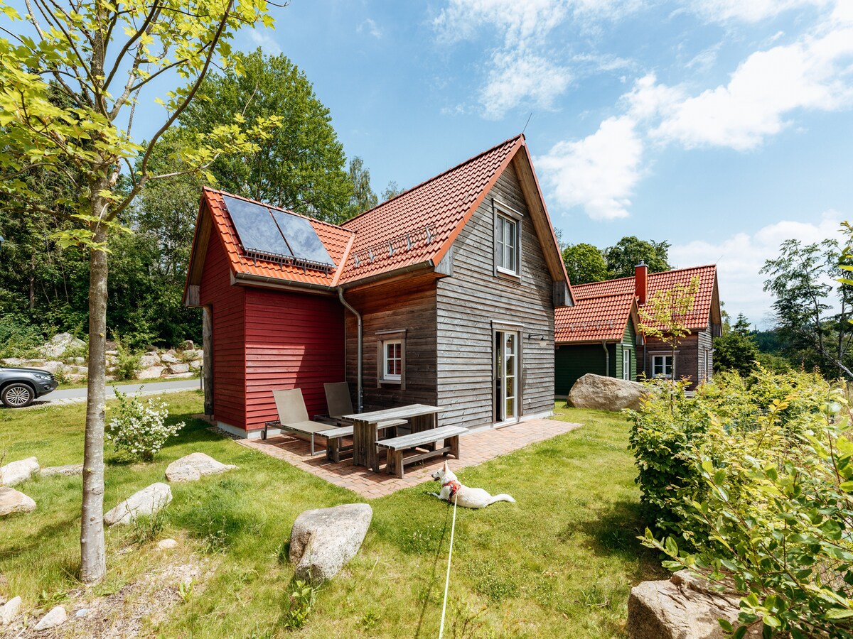 5-persoons luxe vakantiehuis in Schierke op 800m van de piste in Schierke
