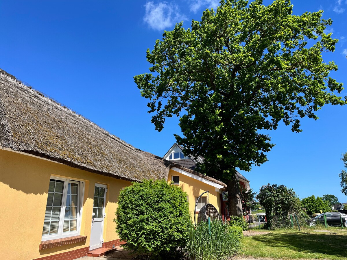 Op 650 m van het meer: Sfeervol appartement in Wieck am Darß in Wieck am Darß