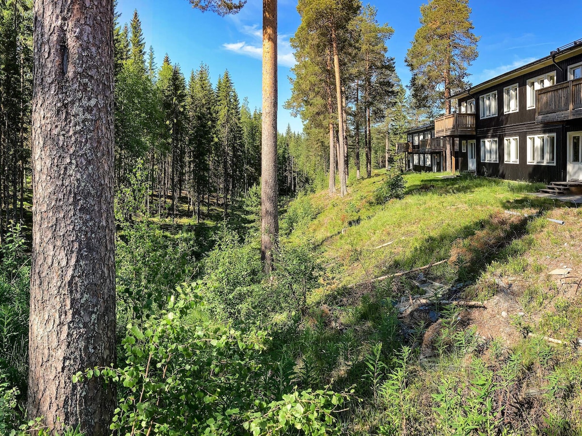 Ruim appartement voor 10 personen in het berglandschap van Sälen in Sälen