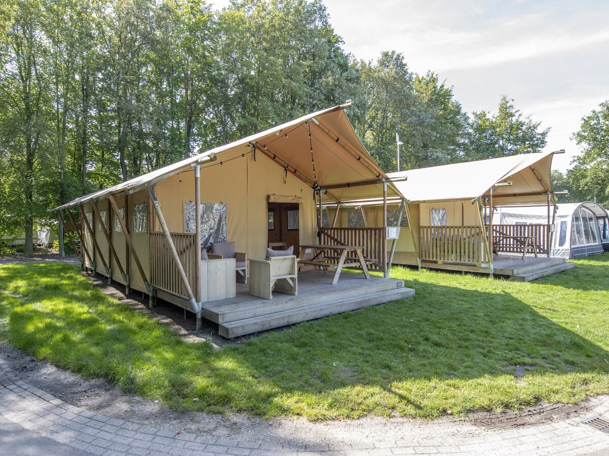Ruime safaritent voor 6 personen in Arcen in Arcen