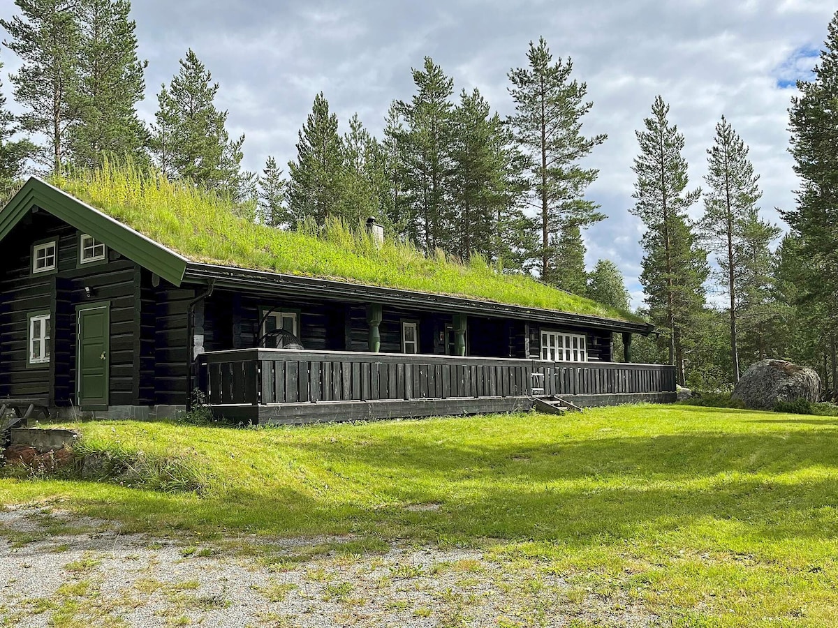 Sfeervol vakantiehuis in Hemsedal voor 7 personen