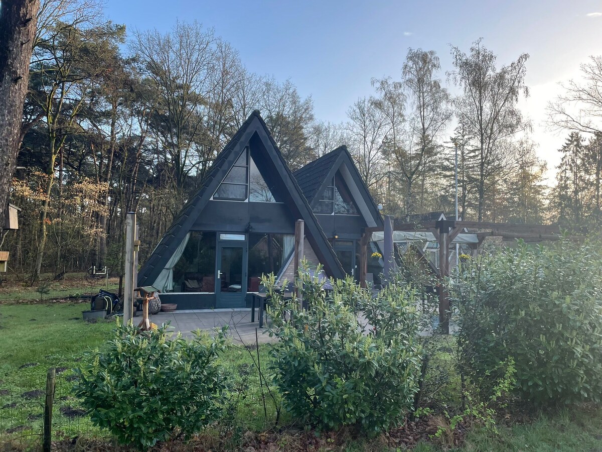 Ruime bungalow voor 12 personen in Stramproy aan het bos in Stramproy