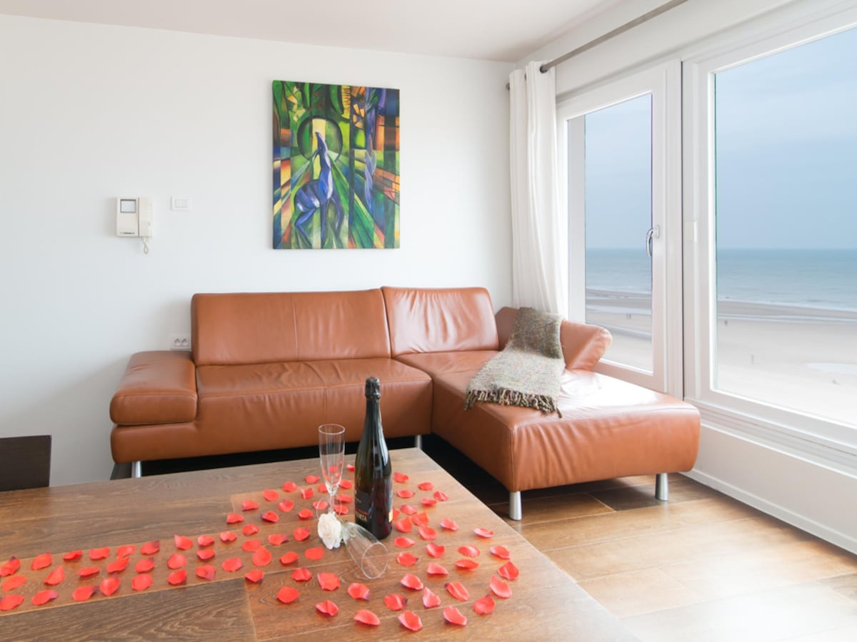 Stijlvol vakantiehuis Ermitage 0503 met oceaanzicht in Oostende in OSTEND
