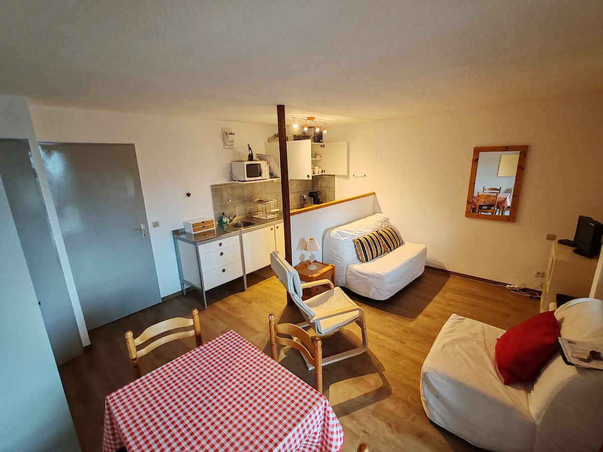 Aan de piste: Comfortabel appartement in Les 2 Alpes voor 4 personen in Les 2 Alpes