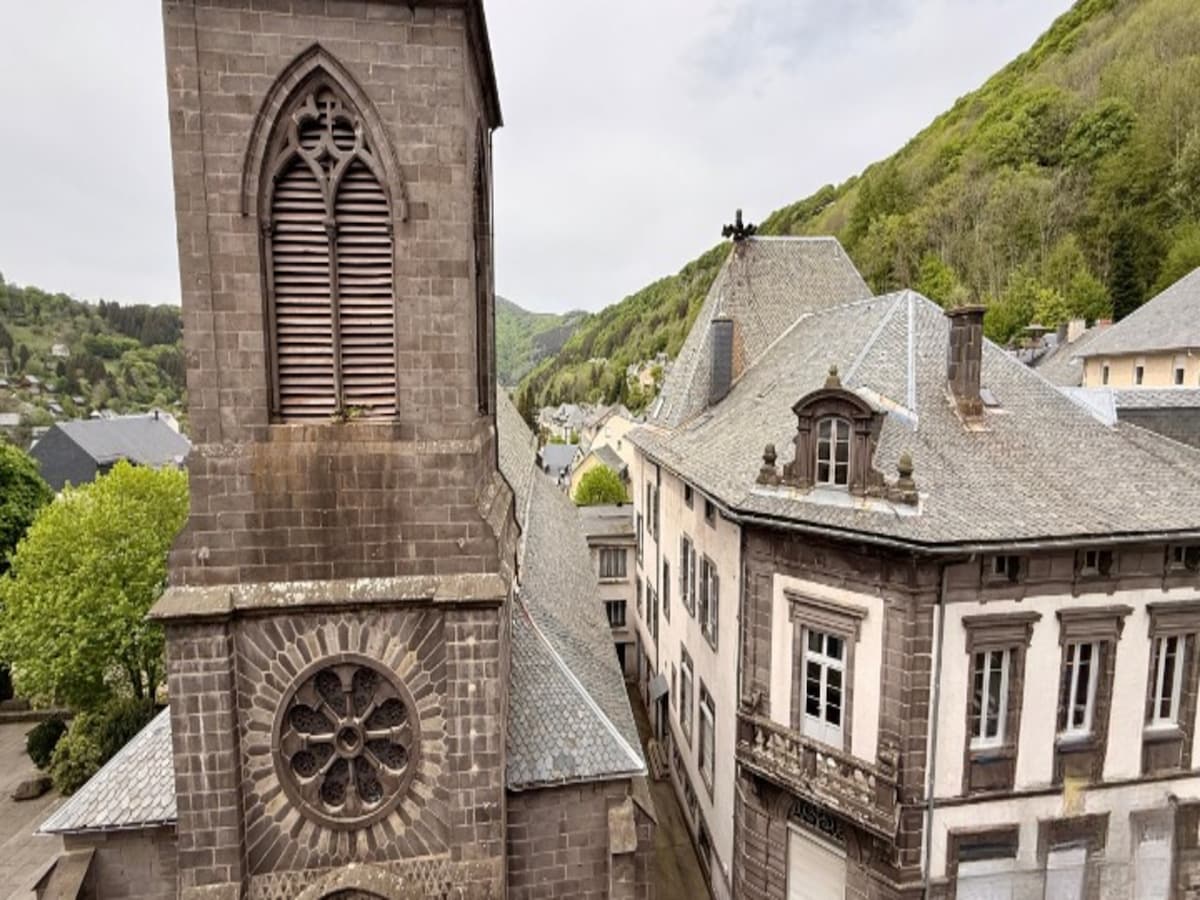 Le Bardet 304 Le Mont Dore 4/6 pers in Mont-Dore