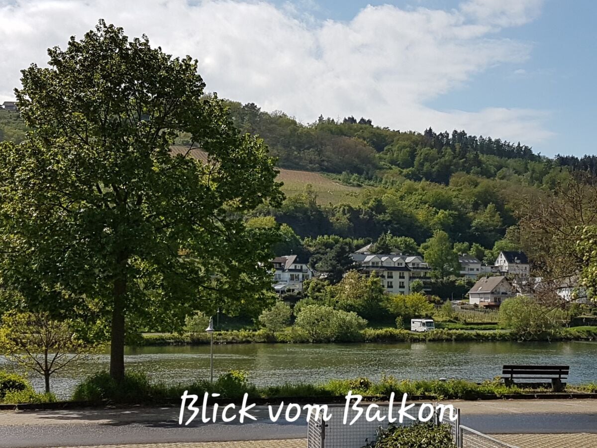 2-persoons vakantiehuis in het centrum van Zell-Mosel in Zell (Mosel)