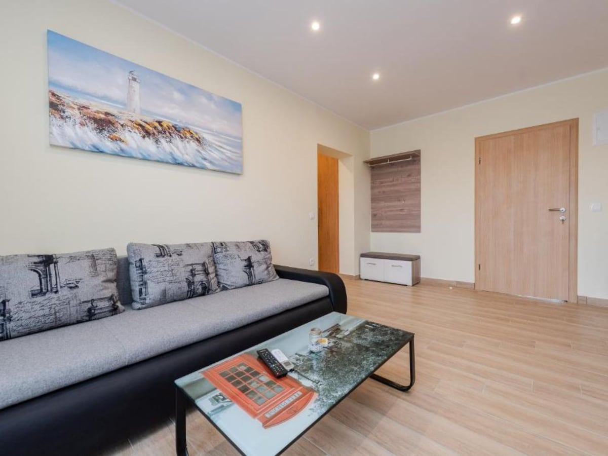 Bračić Premium Apartments with Outdoor Pool and Sauna - Superior One Bedroom Apartment with Balcony in Sukošan