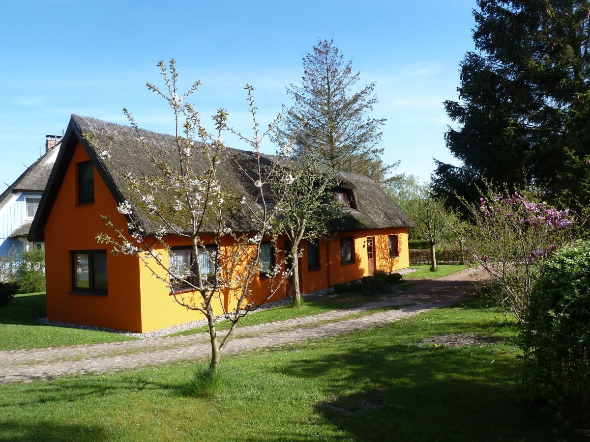 109066 in Wieck am Darß