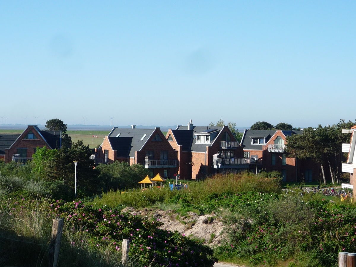 203535 in Wangerooge
