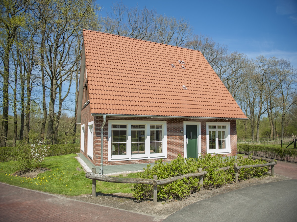 Ruime villa voor 9 personen in Bad Bentheim met sauna en tuin in Bad Bentheim