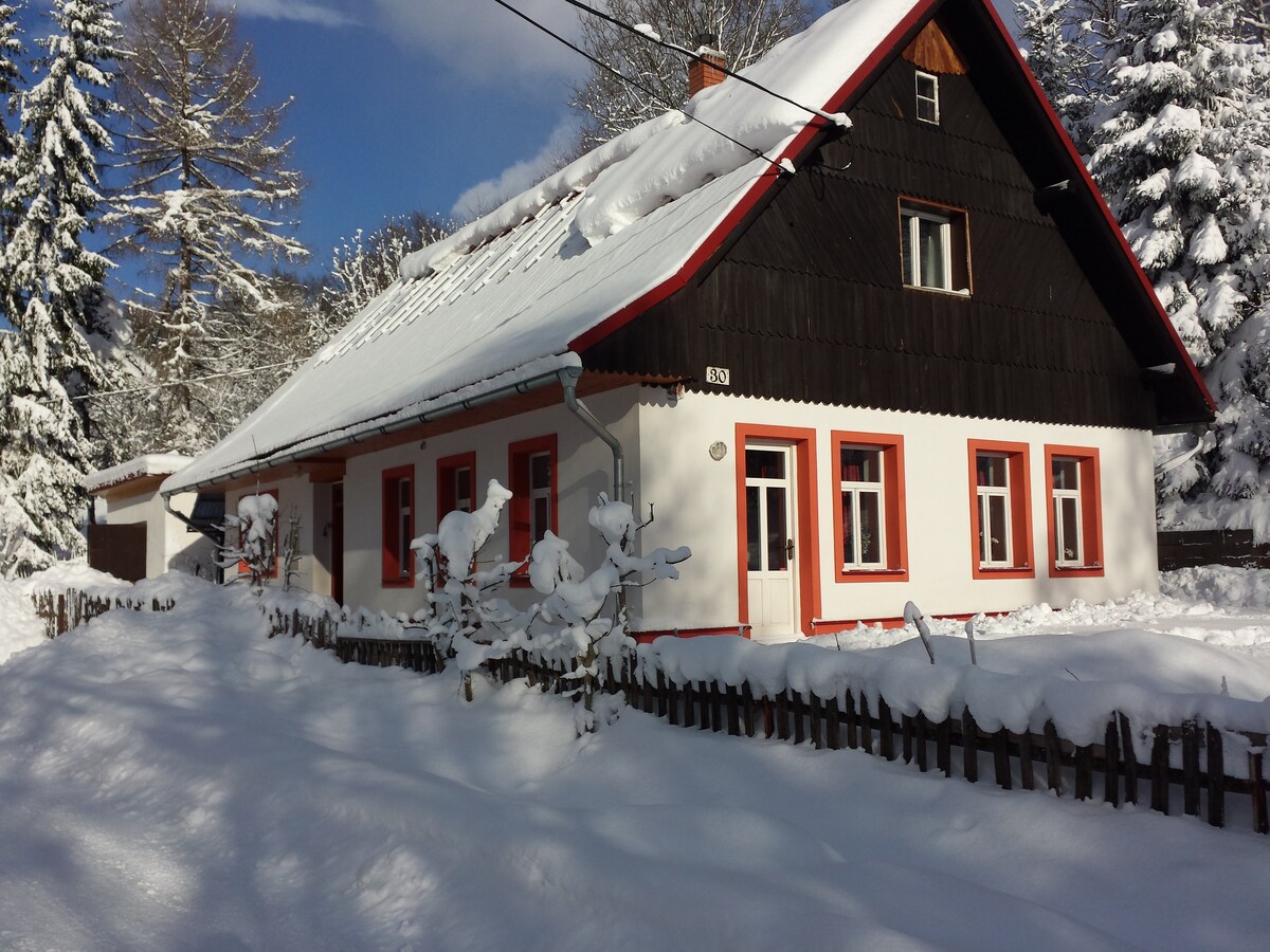Op 1,0 km van de piste: ruim vakantiehuis in Rudnik Javornik in Rudnik