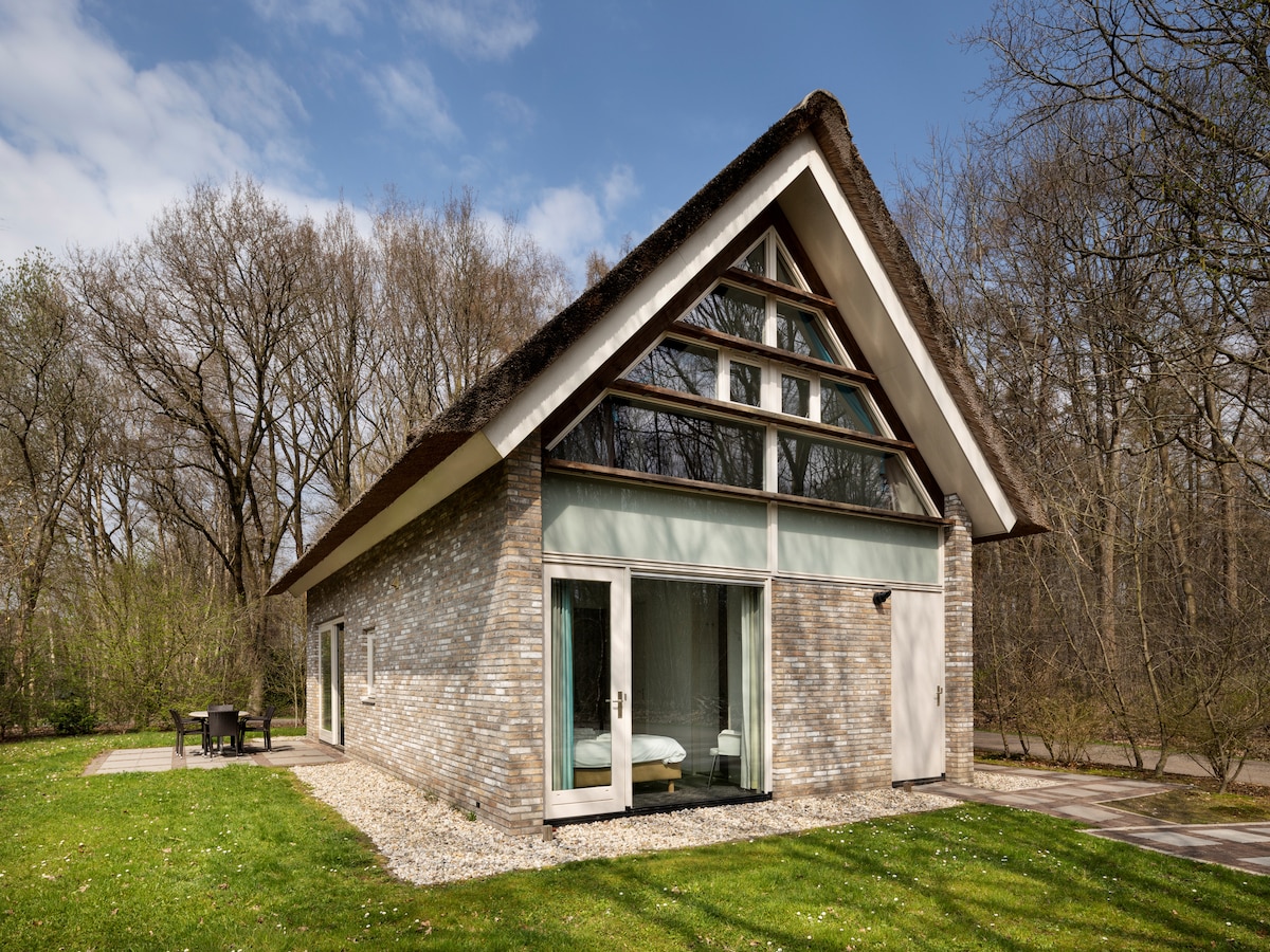 Moderne villa voor 6 personen in het rustige Ruinen in Ruinen
