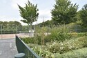 Vakantiehuis Faciliteiten en service vakantiepark