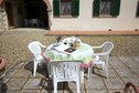 House image small