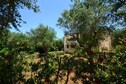 Vakantiehuis Tuin zomer