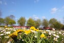 Vakantiehuis Directe omgeving (zomer) (<1 km)