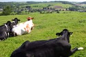 Vakantiehuis Directe omgeving (zomer) (<1 km)