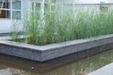 Vakantiehuis Faciliteiten en service vakantiepark