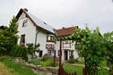 Wilder Wein in Zeil am Main - Beieren, Duitsland foto 8890234