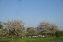 Vakantiehuis Omgeving (zomer) (1-5 km)