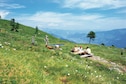Vakantiehuis Omgeving (zomer) (1-5 km)