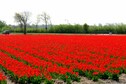 Vakantiehuis Directe omgeving (zomer) (<1 km)