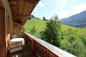 Vakantiehuis Terras/Balkon