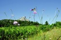 Vakantiehuis Omgeving (zomer) (1-5 km)