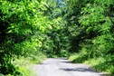 Vakantiehuis Omgeving (zomer) (1-5 km)
