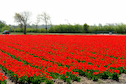 Vakantiehuis Directe omgeving (zomer) (<1 km)