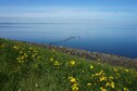Vakantiehuis Directe omgeving (zomer) (<1 km)