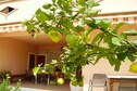 Vakantiehuis Terras/Balkon