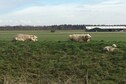 Vakantiehuis Directe omgeving (zomer) (<1 km)