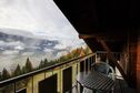 Edelweiss in Matrei in Osttirol - Tirol, Oostenrijk foto 8869730