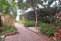 Vakantiehuis Tuin zomer