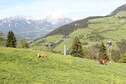 Vakantiehuis Directe omgeving (zomer) (<1 km)