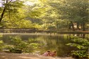 Vakantiehuis Directe omgeving (zomer) (<1 km)