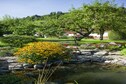 Vakantiehuis Tuin zomer