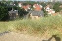 Vakantiehuis Omgeving (zomer) (1-5 km)