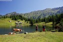 Vakantiehuis Omgeving (zomer) (1-5 km)