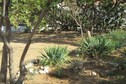 Vakantiehuis Tuin zomer