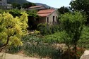 Vakantiehuis Tuin zomer