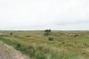 Vakantiehuis Directe omgeving (zomer) (<1 km)