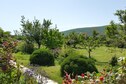 Vakantiehuis Tuin zomer
