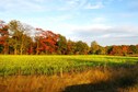 Vakantiehuis Directe omgeving (zomer) (<1 km)