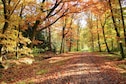 Vakantiehuis Directe omgeving (zomer) (<1 km)