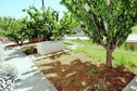 Vakantiehuis Tuin zomer