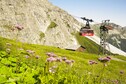 Vakantiehuis Omgeving (zomer) (1-5 km)